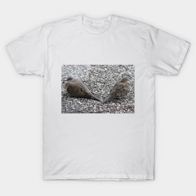 Doves having a Temporary falling Out T-Shirt by Judy Geller